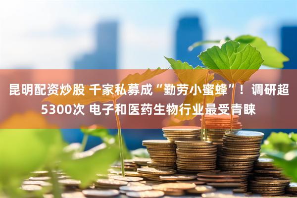 昆明配资炒股 千家私募成“勤劳小蜜蜂”！调研超5300次 电子和医药生物行业最受青睐