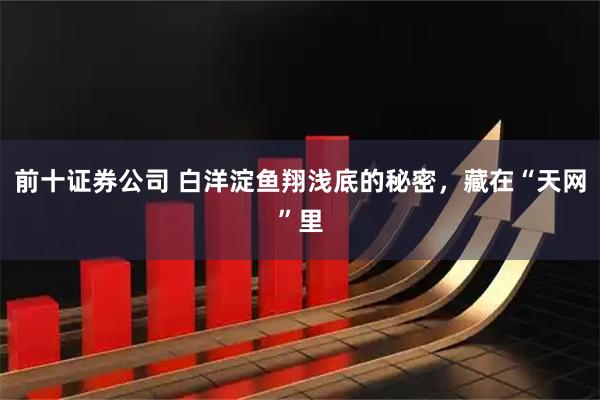 前十证券公司 白洋淀鱼翔浅底的秘密，藏在“天网”里